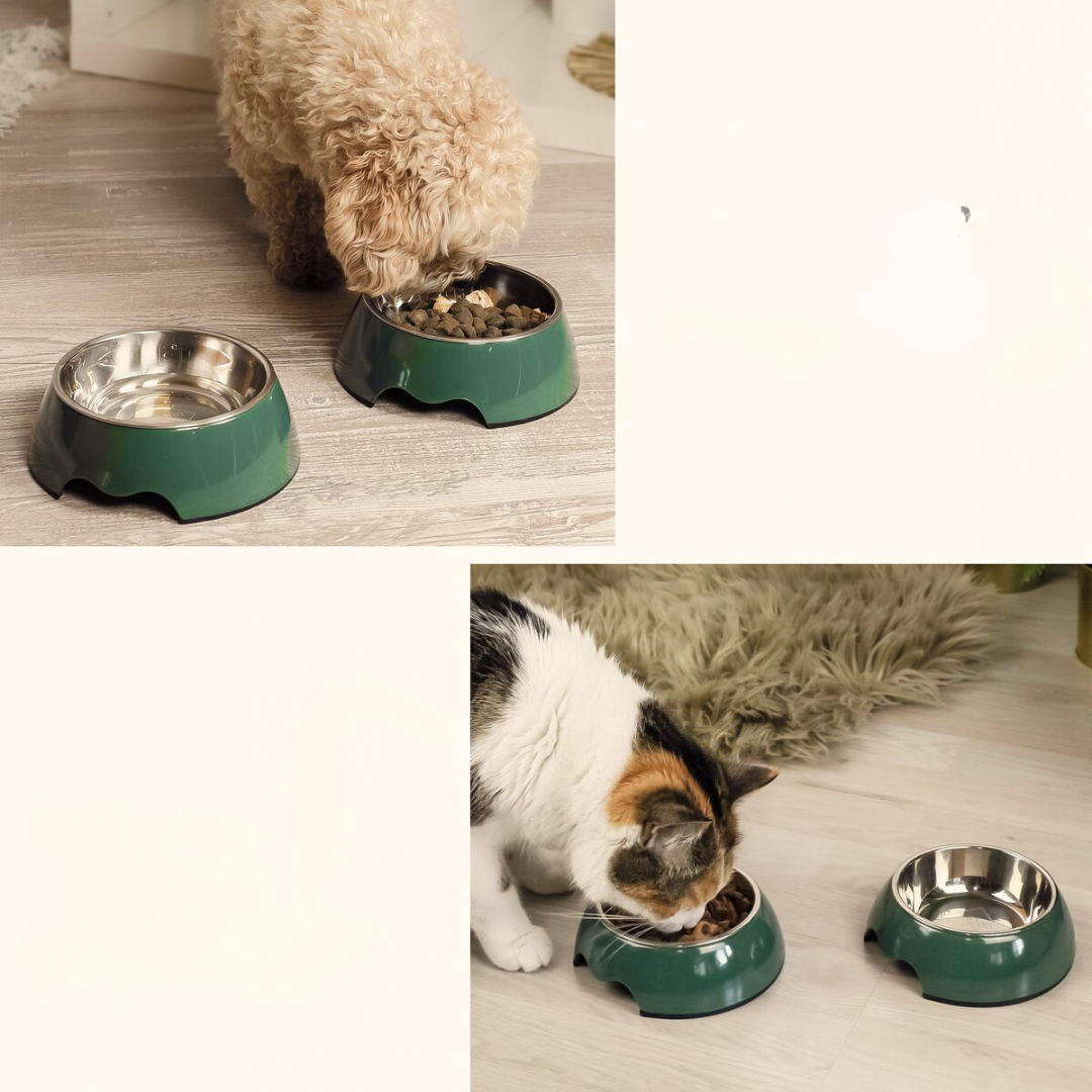 Donkergroen RVS hond of katten voerbak | Set van 2stuks - ne&no