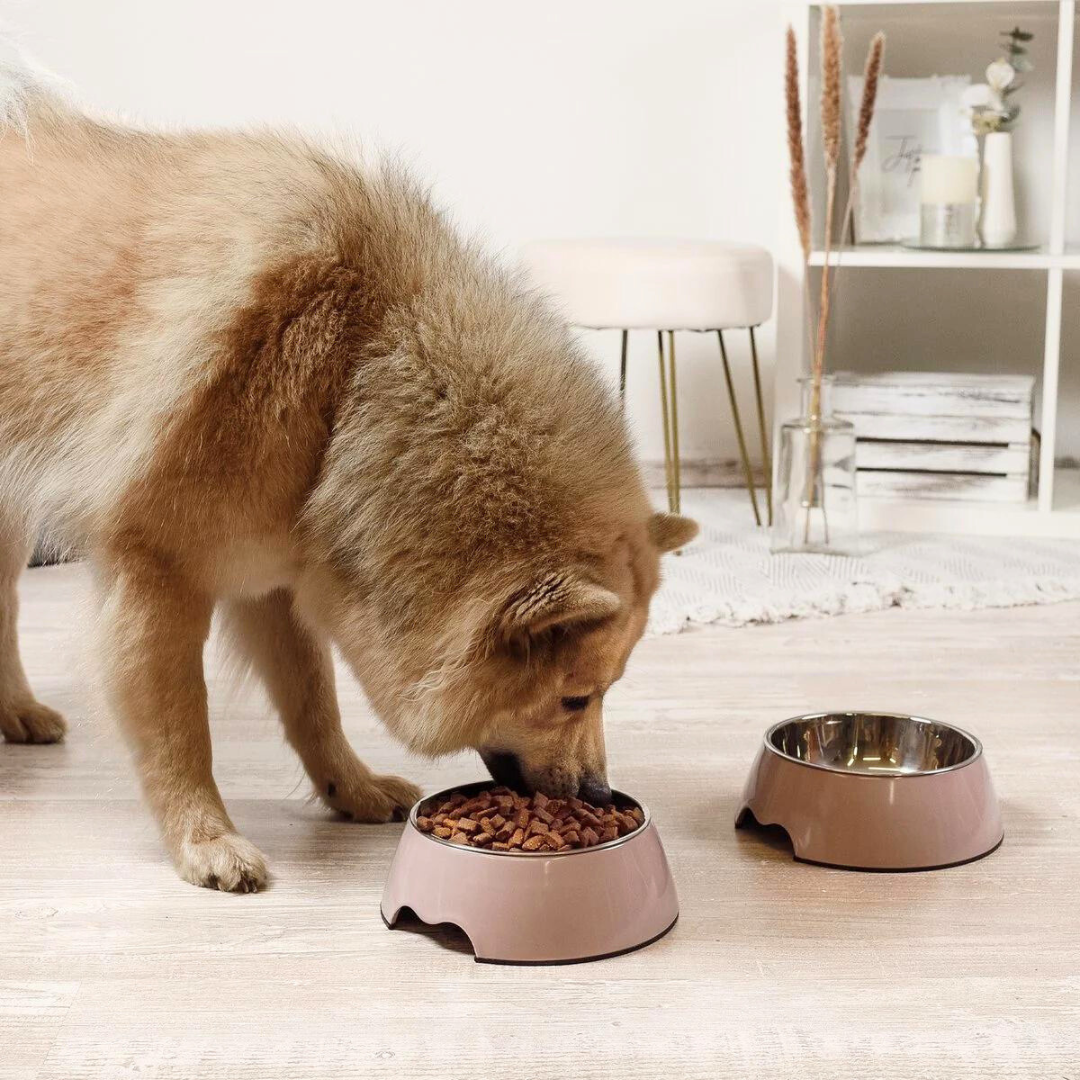 Roze RVS hond of katten voerbak | Set van 2stuks - ne&no