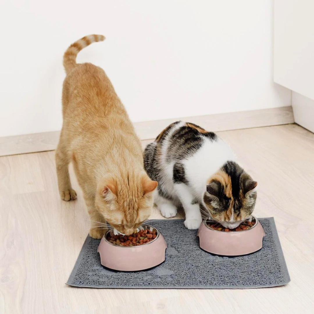 Roze RVS hond of katten voerbak | Set van 2stuks - ne&no