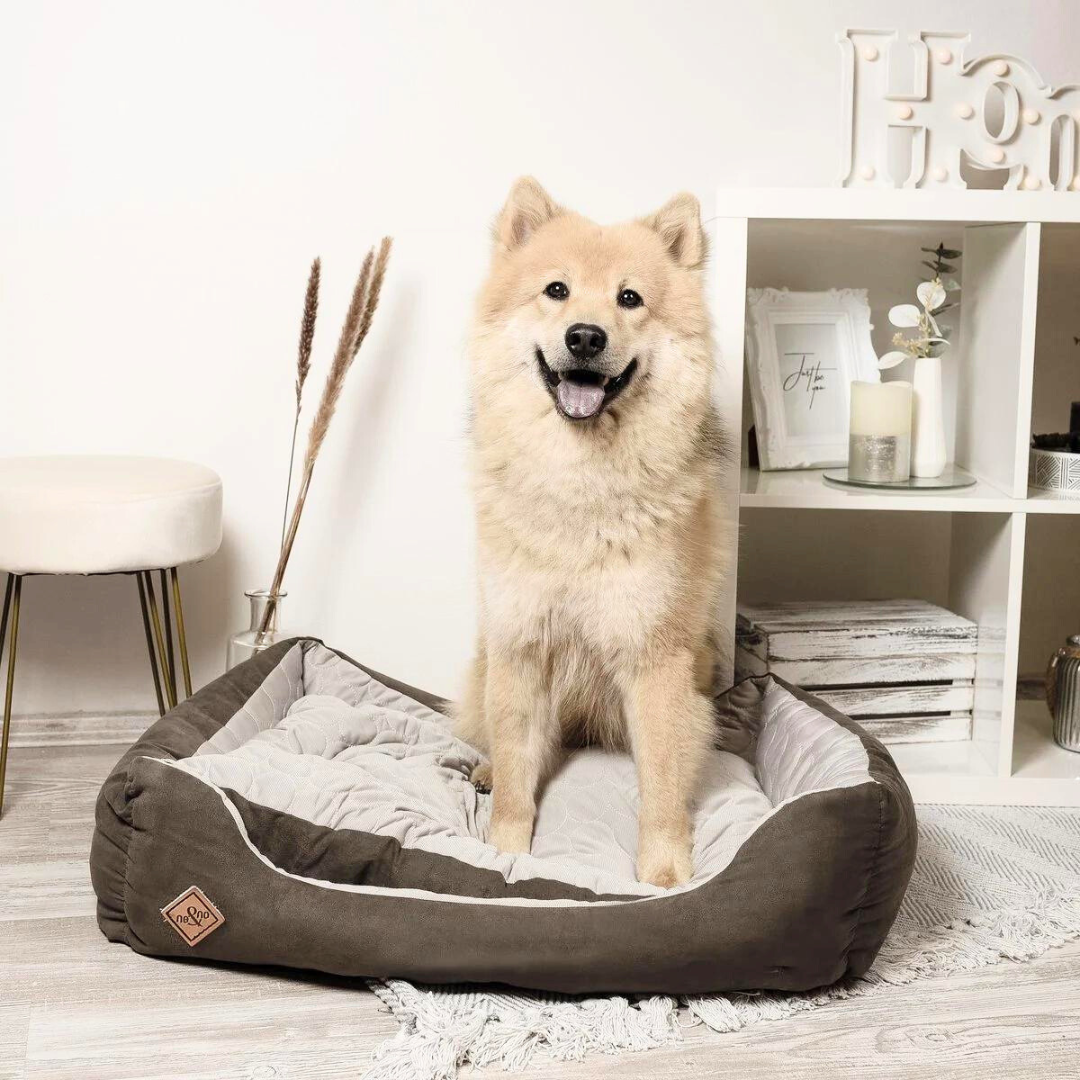 Hondenbed - Kattenbed Medium zilver/mos groen | Ne&No