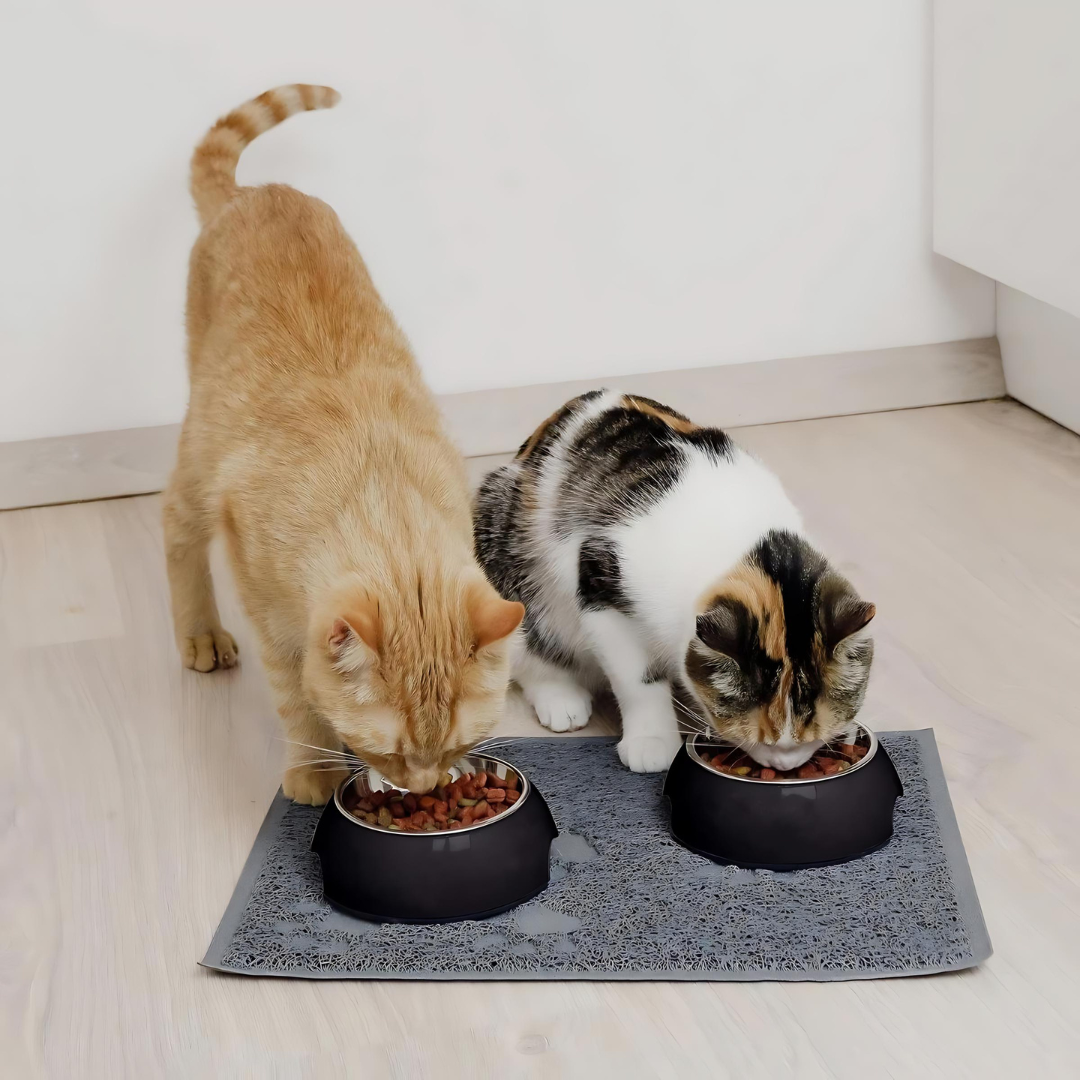 Zwart RVS hond of katten voerbak | Set van 2stuks - ne&no