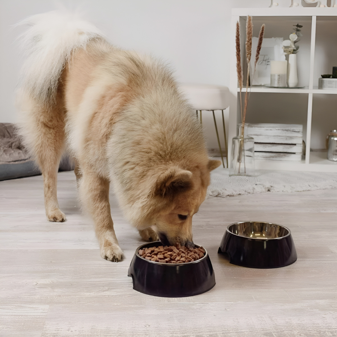 Zwart RVS hond of katten voerbak | Set van 2stuks - ne&no