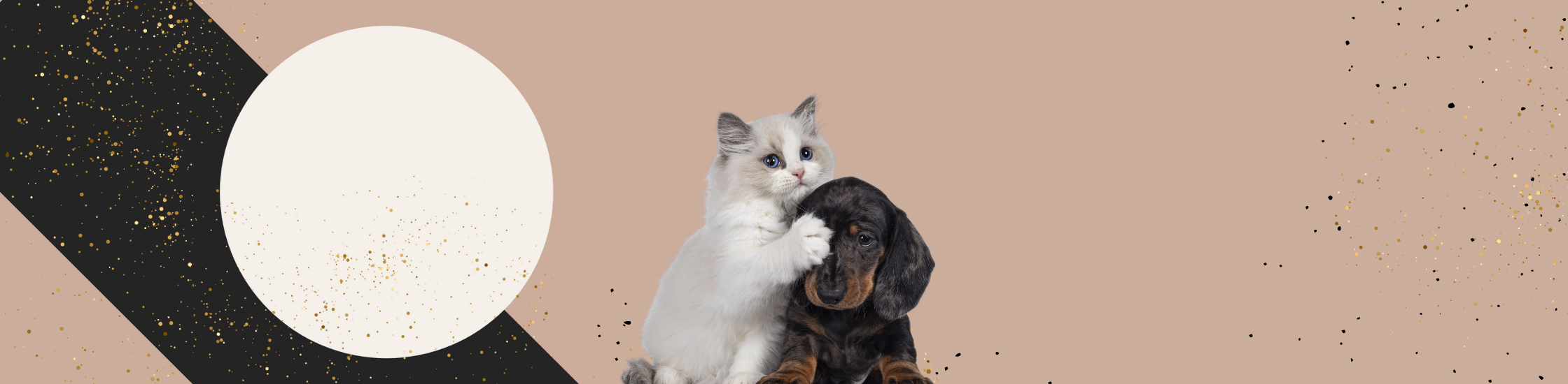 Accessoires voor honden en katten