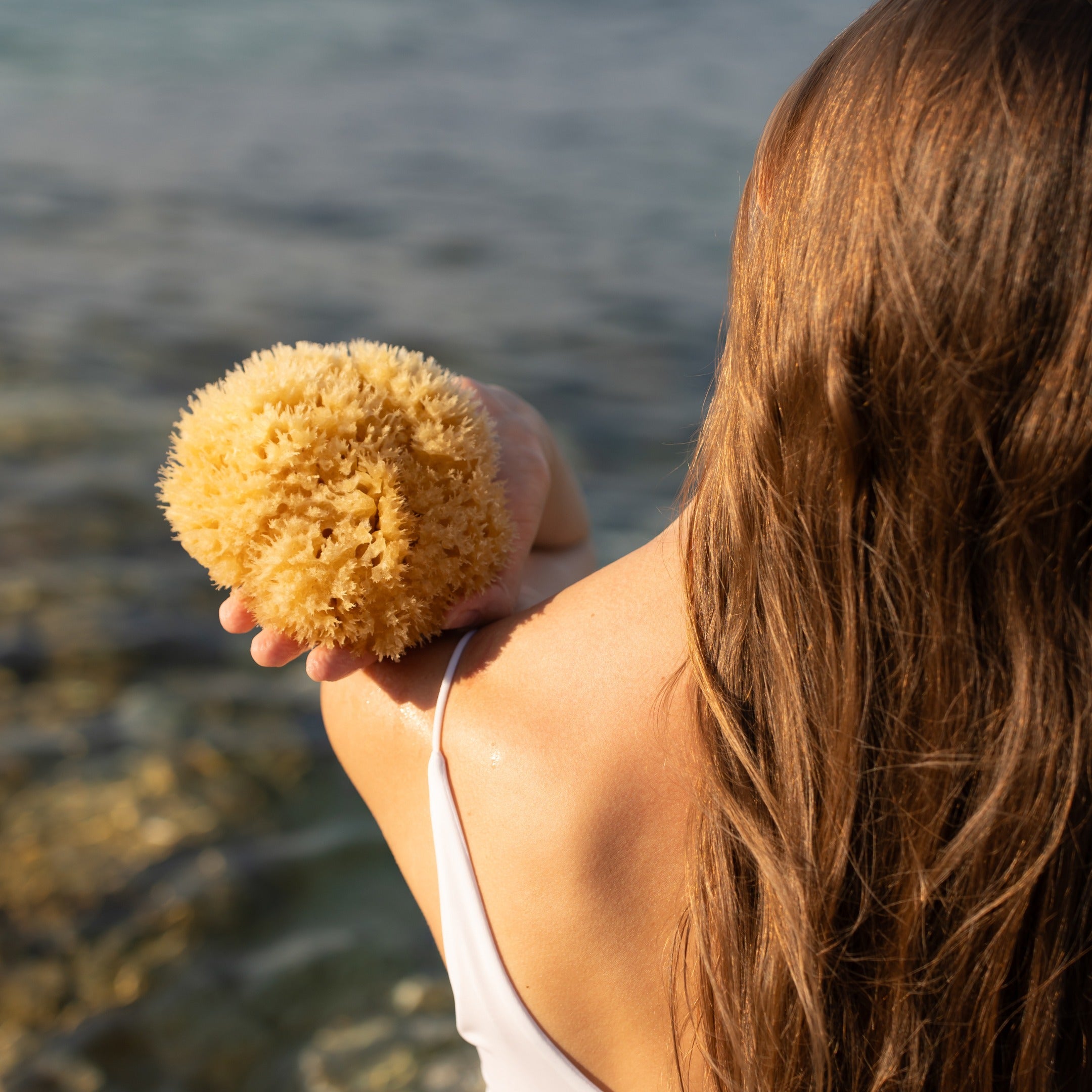 Natural sponge from the sea for bath, wellness, spa