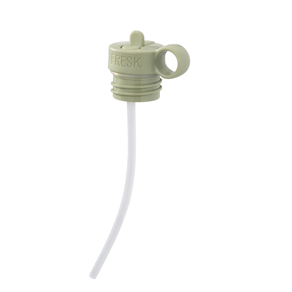 Fresk Thermosfles / Drinkfles  500 ml Crocodile