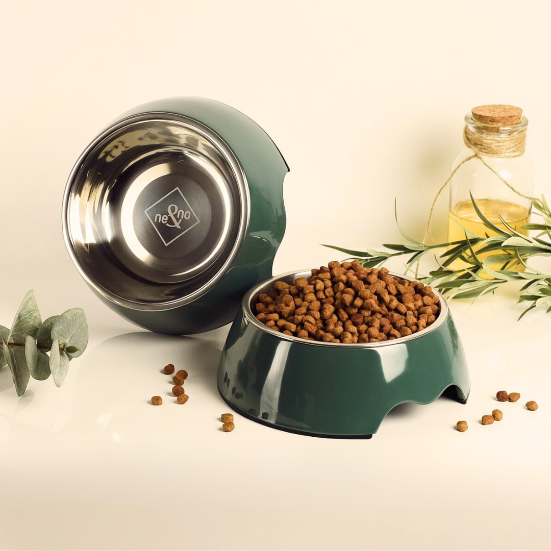 Dark green stainless steel dog or cat food bowl | Set of 2 - ne&amp;amp;no