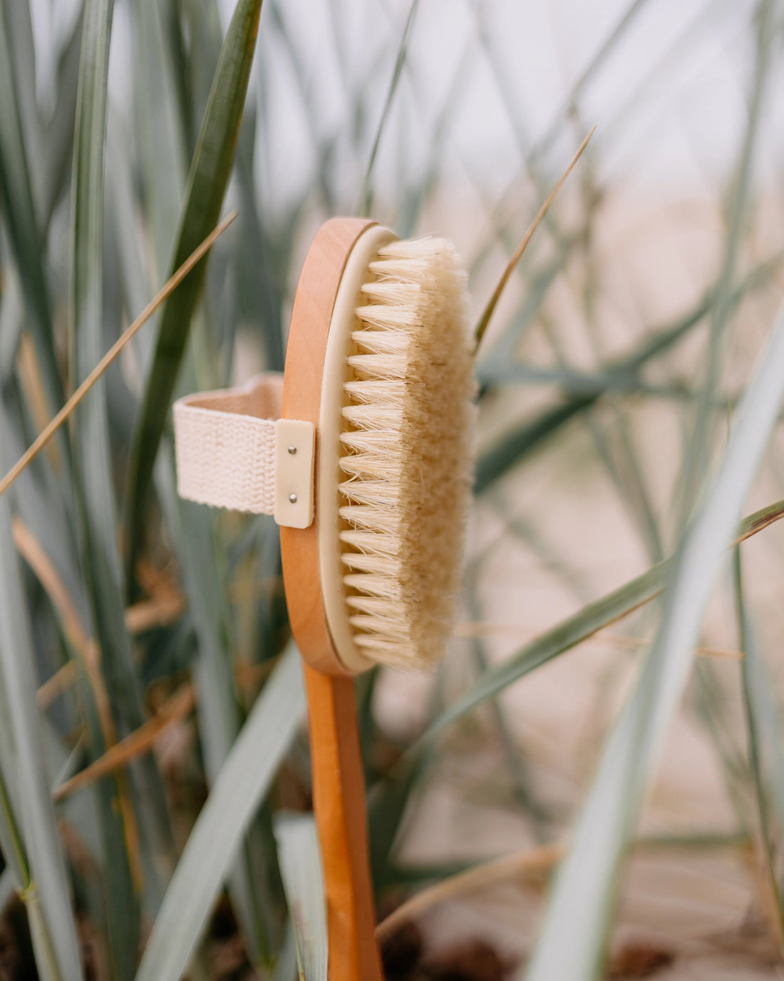 Body brush for the shower or bath with removable head and handle