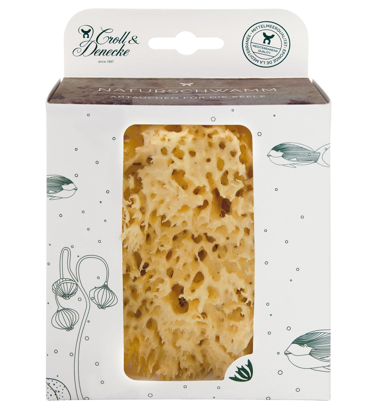 Natural sponge from the sea for bath, wellness, spa